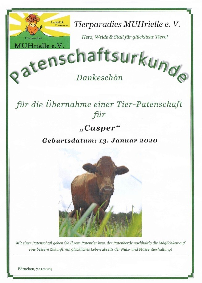 Bild 10 von 10