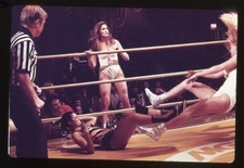 All the Marbles Original Transparency Vicki Frederick Laurene Landon wrestling