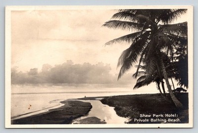 Jamaica Shaw Park Hotel Ocho Rios Private Beach RPPC Postcard BWI Palm Trees