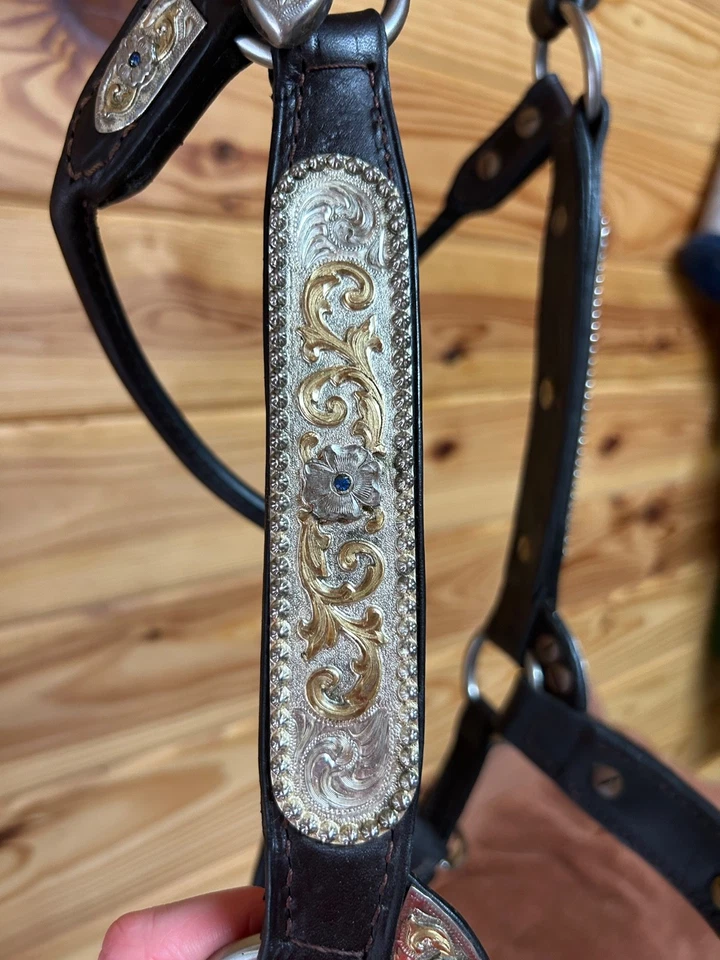 Halter Kathy’s Showmanship, corte Congreso, tamaño completo con piedras azules Foto 4 de 4