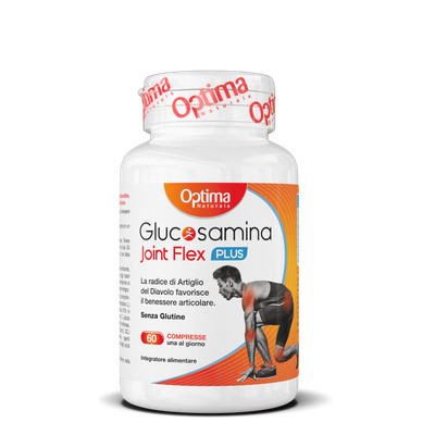 Glucosamin Gelenk Flex Plus 60