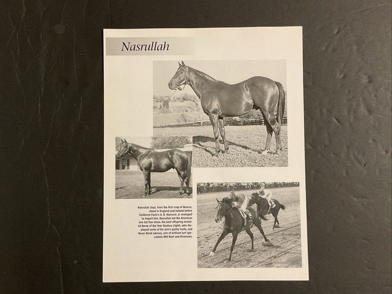 NASRULLAH  NEARCO Photo Horse Racing CHAMPION SIRE  BOLD RULER  SECRETARIAT