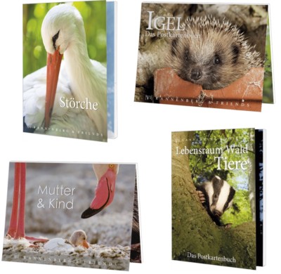 1 Postkartenbuch Tier Tiere Vögel Postkartenbücher Ansichtskarte Postkarte Igel
