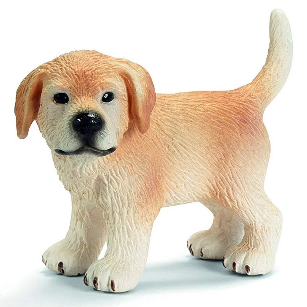 Golden retriever hot sale puppy farm