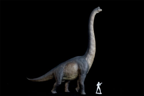 Nanmu Studio Brachiosaurus Watchmen Figure Brachiosauridae Dinosaur Model Toy - Picture 16 of 29