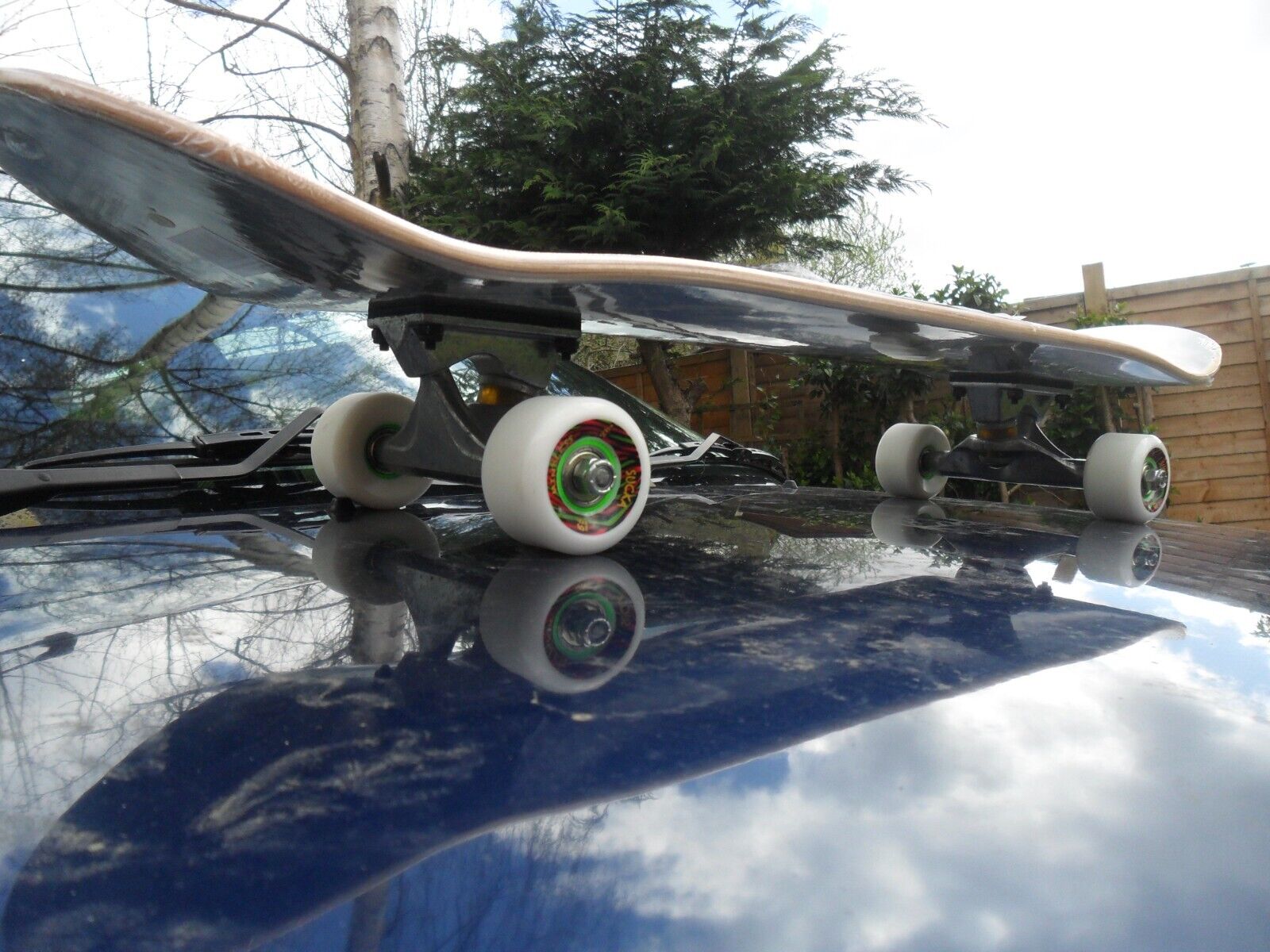 Picture 5 of 6