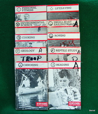 VINTAGE BOY SCOUT- LOT OF TEN 1980-90's MERIT BADGE BOOKS