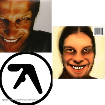 激レア Steinvord レコード Aphex Twin 激レア Steinvord レコード Aphex Twin