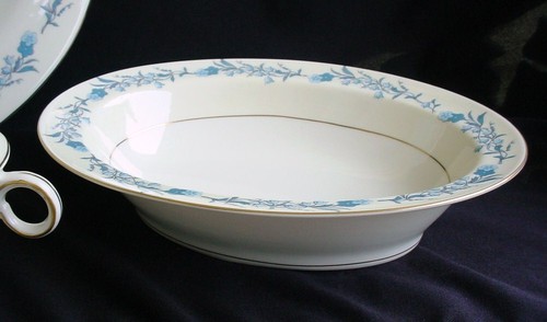 DINNER SERVICE FOR 8 & SERVERS CLINTON THEODORE HAVILAND NEW YORK LOVELY VINTAGE - 第 8/9 張圖片