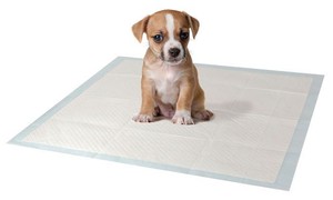 absorbent puppy pads