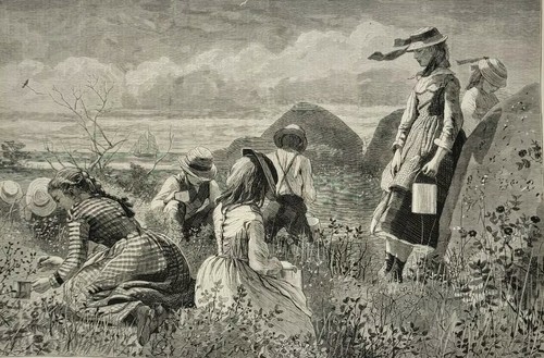 Harper's Weekly 7/11/1874 Winslow Homer "Gathering Berries" Classic Issue!