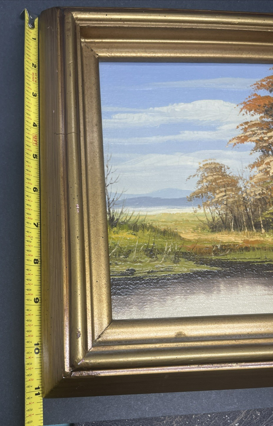 Picture 5 of 9