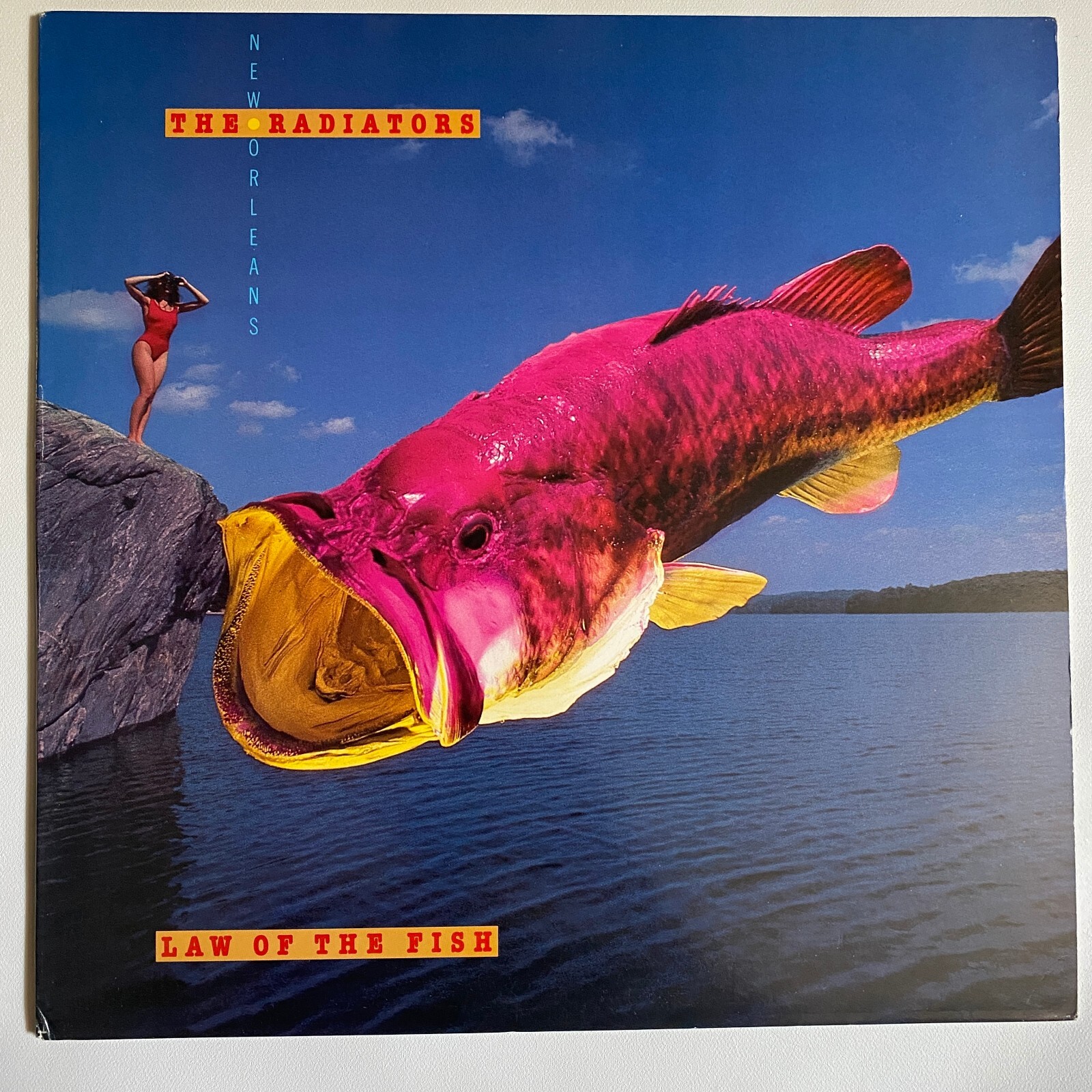 The Radiators Law Of The Fish ORIGINAL 1987 US 12" VINYL LP EX/NM eBay