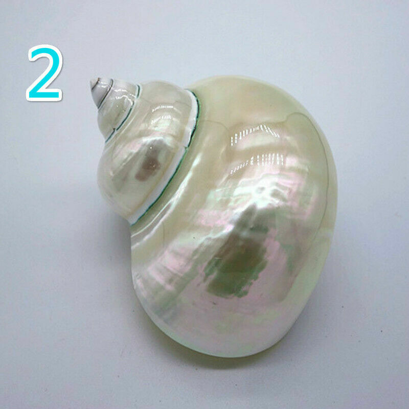 Picture 3 of 12
