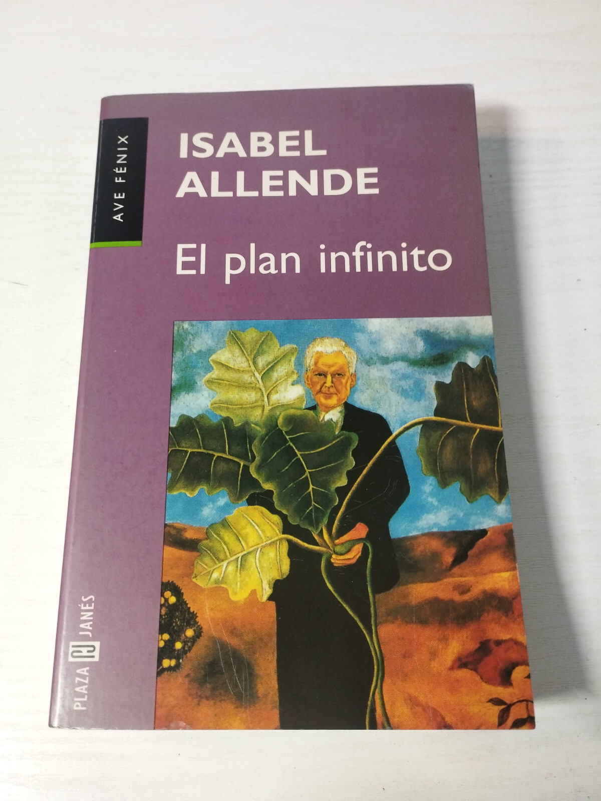 The Infinite Plan ISABEL Allende Plaza & Janes 1999 - Book Spanish Am