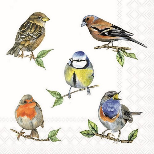 20 Servietten 'Vogel Im Wald' – 33x33 Cm, 3-lagig, Für Tischdeko, Basteln & Serviettentechnik