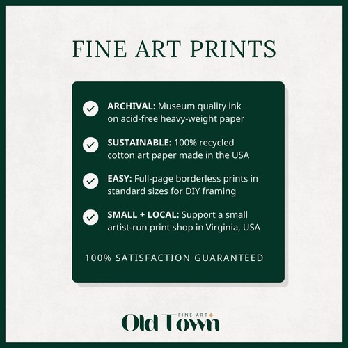 Vincent van Gogh | The Garden of the Asylum | Giclee Print on Fine Art Paper - Picture 2 of 5