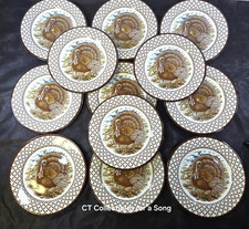NEW Set of 12 Royal Stafford Chantilly Turkey Salad Plates 8 1/4" In Boxes Brown
