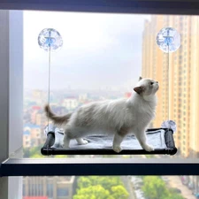 Best Cat Hammock for Window Wall with 4 Suction Cups 1 Cushion Cover Cat Perch