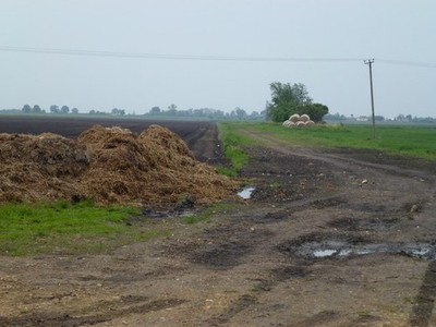 Foto A2 Tief im Moor - Dreckhaufen, Strohstapel und Spur Dünkirchen\/TL c2013