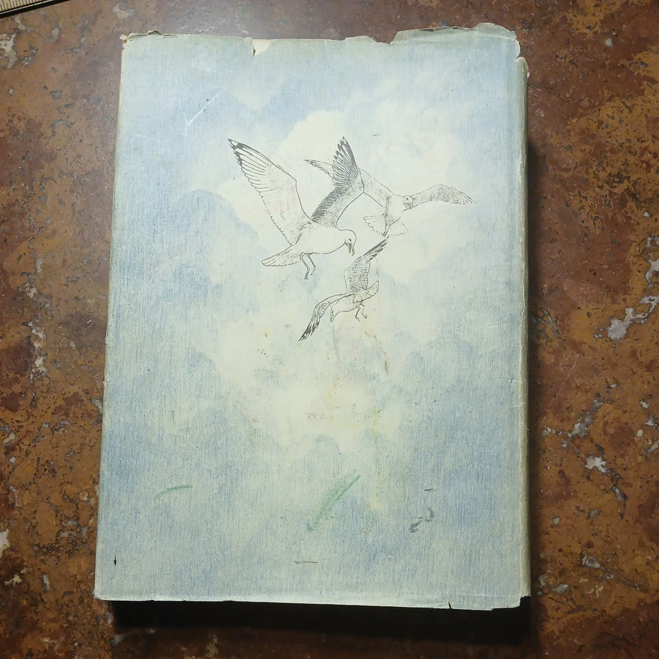 JAMES AND THE GIANT PEACH 1st Edition Roald Dahl - Burkert 1961 HCDJ Foto 3 de 4