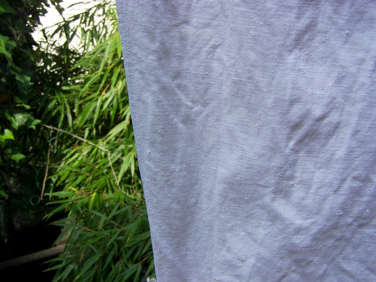 Bild 19 von 20