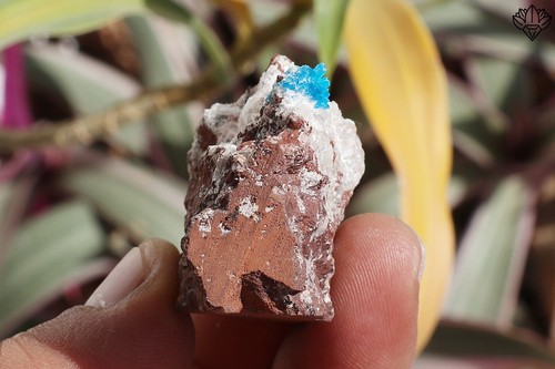 Pequeña cavansita deslumbrante sobre base métrica minerales de heulandita 34 g muestra áspera - Imagen 2 de 6