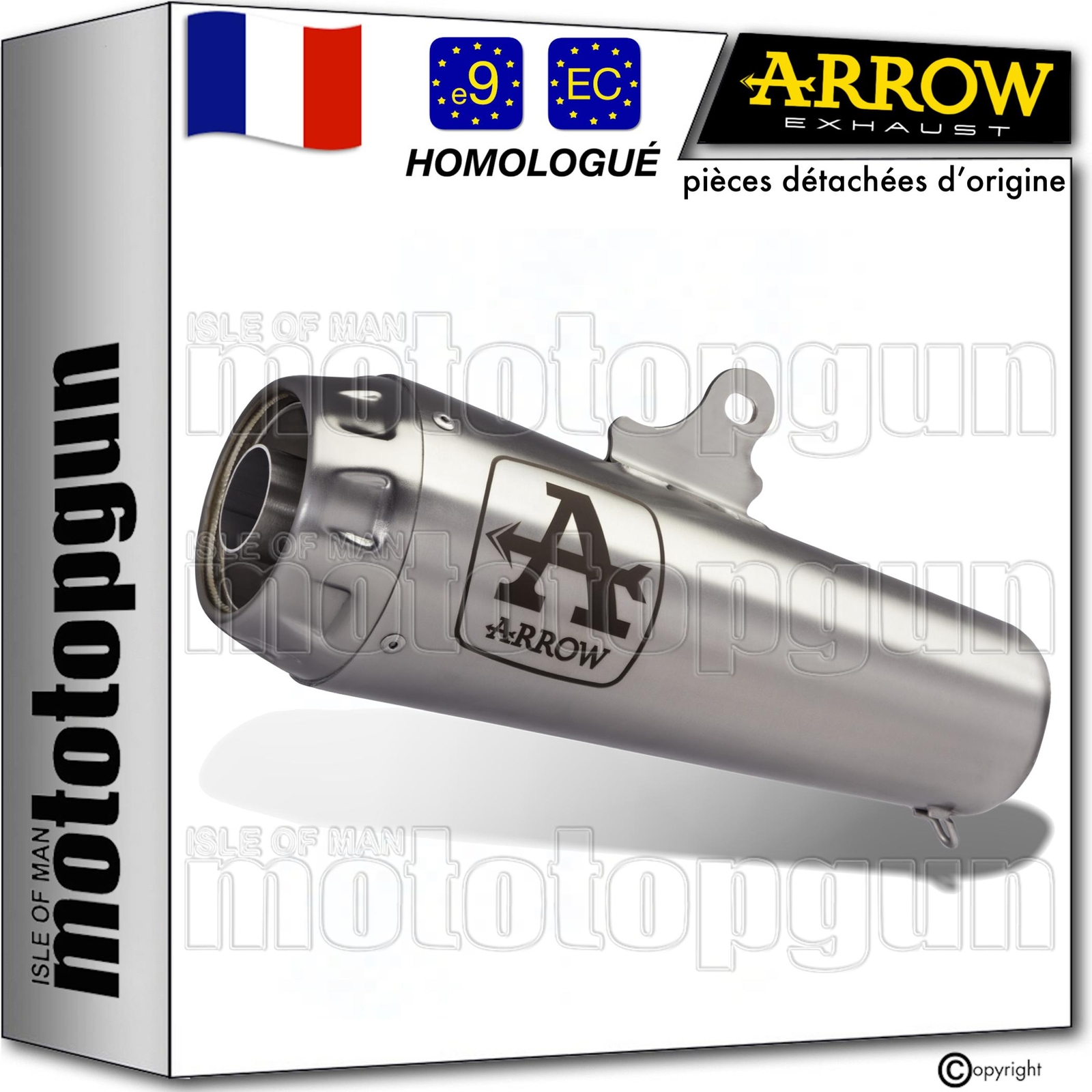 Silencieux Arrow Pro-Race en nichrom pour BMW R Nine T Scrambler