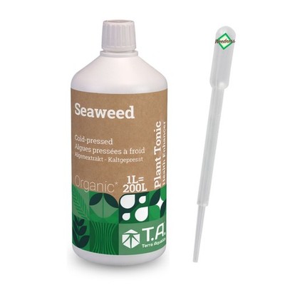T.A. Seaweed Dünger Naturdünger Grow Anbau Indoor Tomaten Flüssig Mineralisch