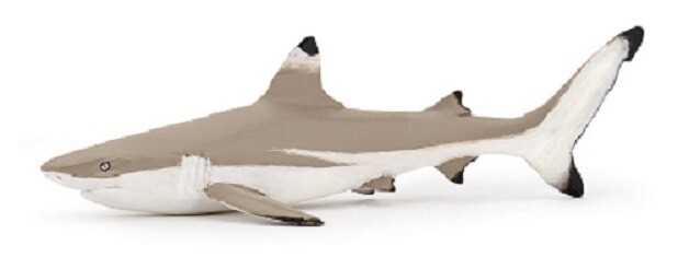 Papo 56034 Blacktip Reef Shark 14 Cm Water World