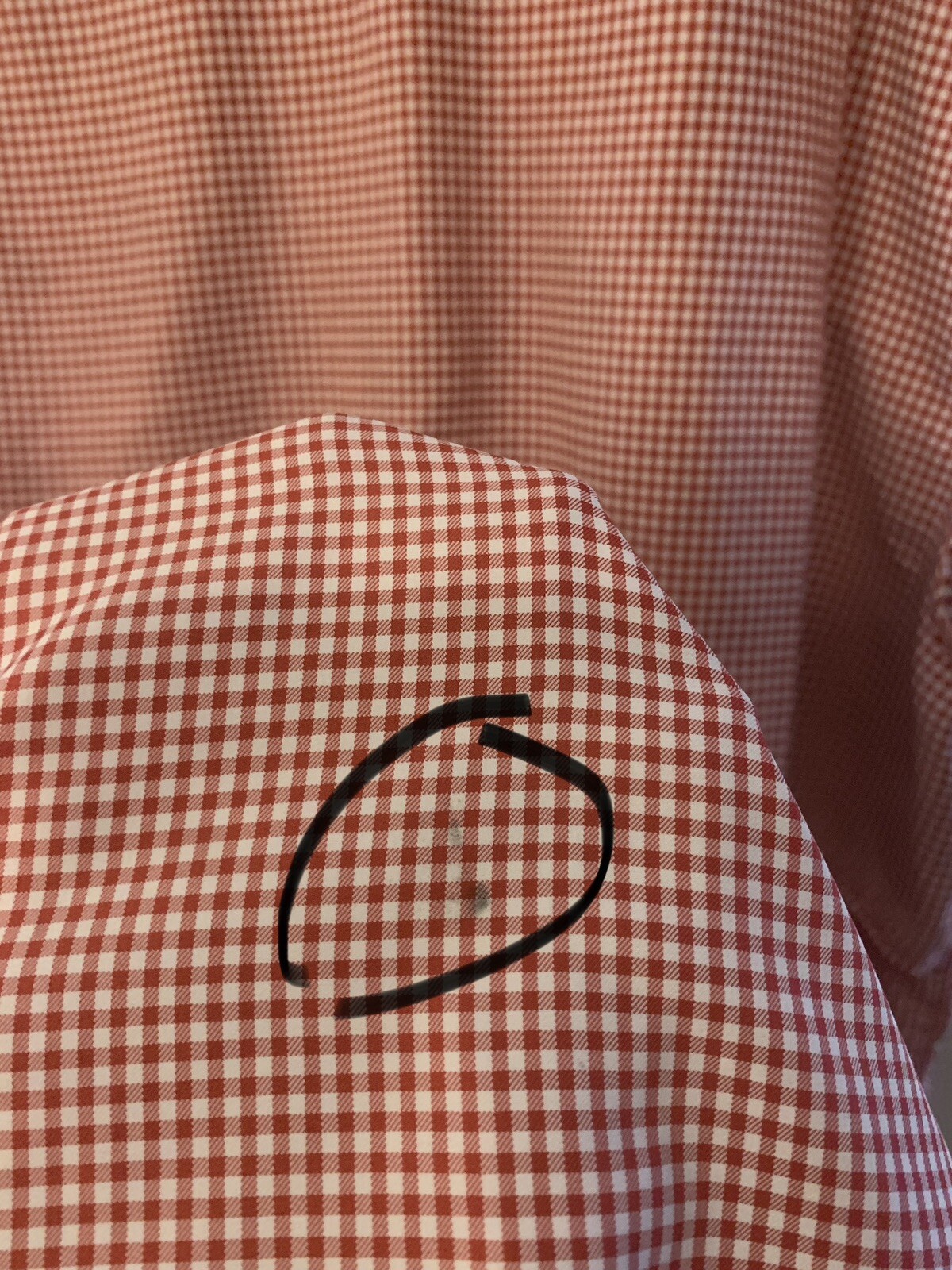 Foto 11 di 12