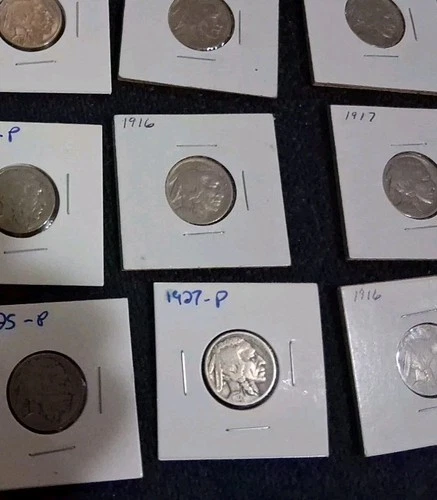 #13 -Buffalo Nickels Lot