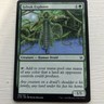 Sylvok Explorer Commander 2016 MTG MP