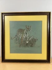 Original Donna Westerman Pencil Tiger 17” X 17” Signed -Matted And Framed