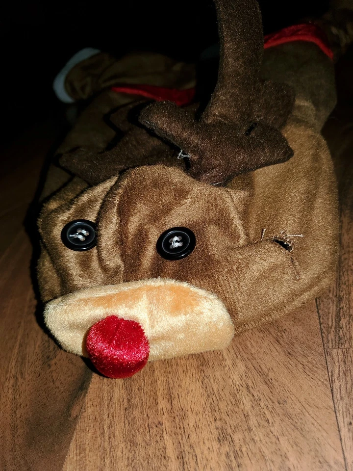 Disfraz de reno perro Navidad mediano Foto 2 de 4