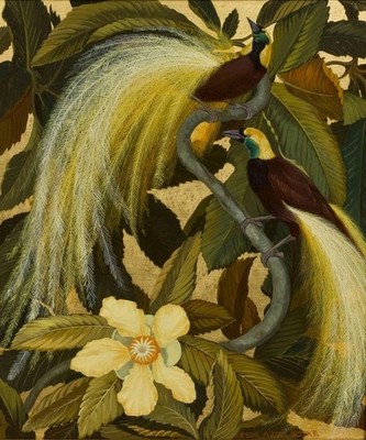 Birds of Paradise Jessie Arms Botke 1931 VINTAGE art print antique painting