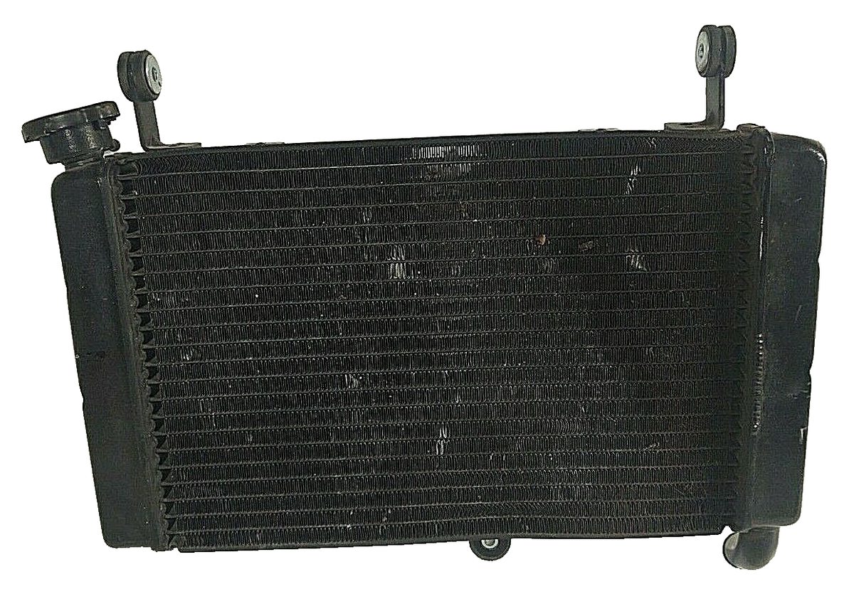 97-07 Yamaha Radiator YZF600R Thundercat OEM 4TV-12461-00-00 | eBay