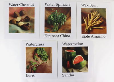 #ad #ad Lot Color Prints Fruits Vegetables Wall Decor Restaurant Kitchen Classroom more $36.45