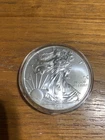 2013 American Eagle, 1 Troy Ounce Silver Incased in Plastic FREE SHIPPING!!!