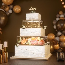 2 Pcs Square Clear Acrylic Fillable Cake Stand with 2M LED Lights Cake Display