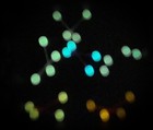 Bild 2 von 9
