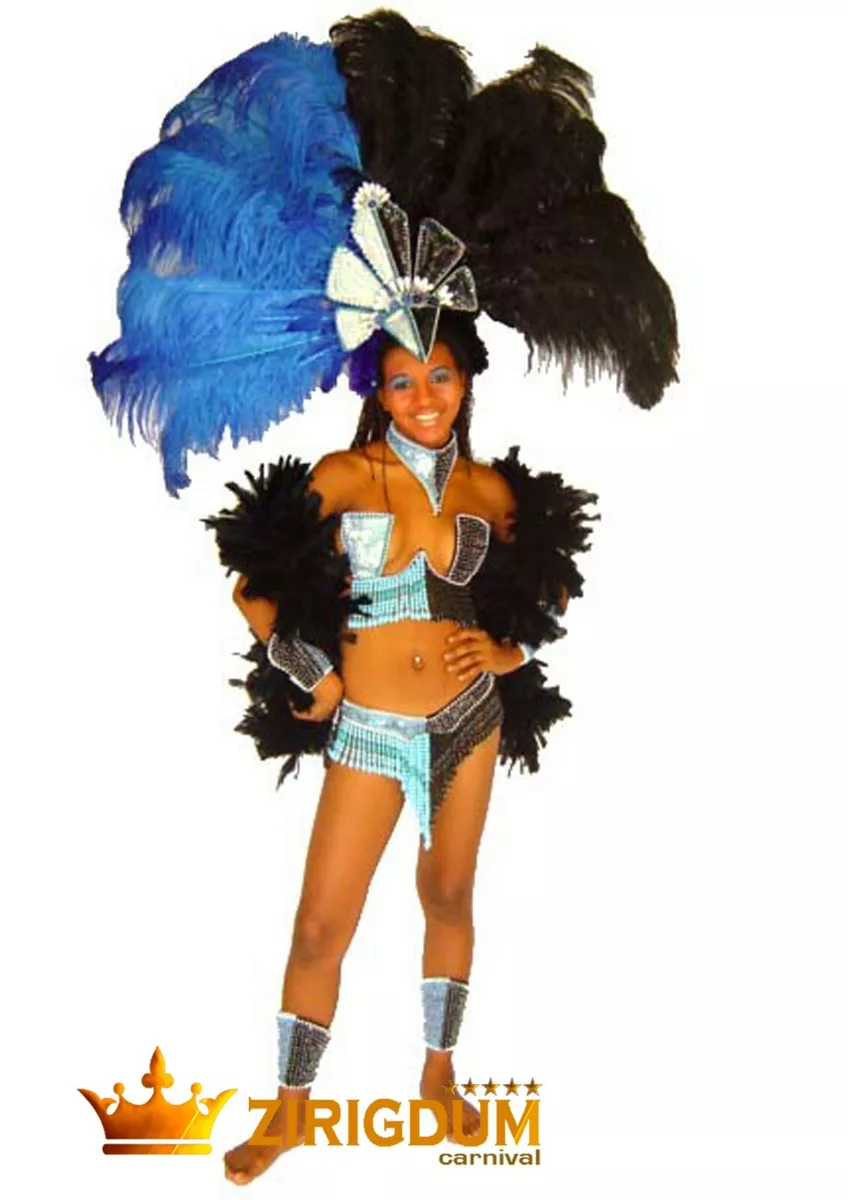 Cheap dance costumes, samba outfit, feather headpiece, belly dance