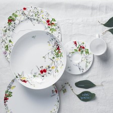 Rosenthal Brillance Fleurs Sauvages Bone China Porzellan Geschirr