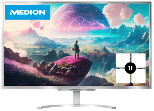AiO Computer Medion E23401 24" FHD Core i5-8250U 8GB/512GB Win11 (U) (W)