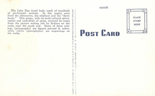 Vintage Postcard Fossil Rocks John Day Fossil Beds Animals Dumb Highway Oregon - Picture 2 of 2