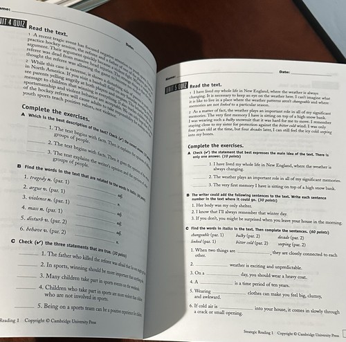 Lot of 3 Strategic Reading Teachers Manuals Vol 1 2 3 Bonesteel Skills English - Picture 16 of 22