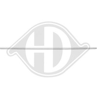 Zier /Schutzleiste TüR Diederichs 2247220 FüR VW Vorne Rechts