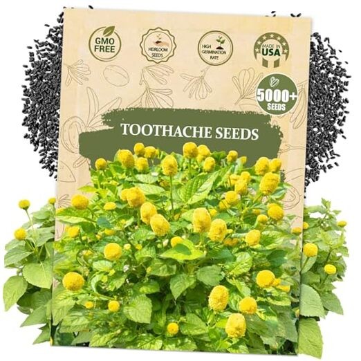 potted plants that repel mosquitoes 2.32 qt. Citronella Mosquito Plant – Bonnie Plants main image 1