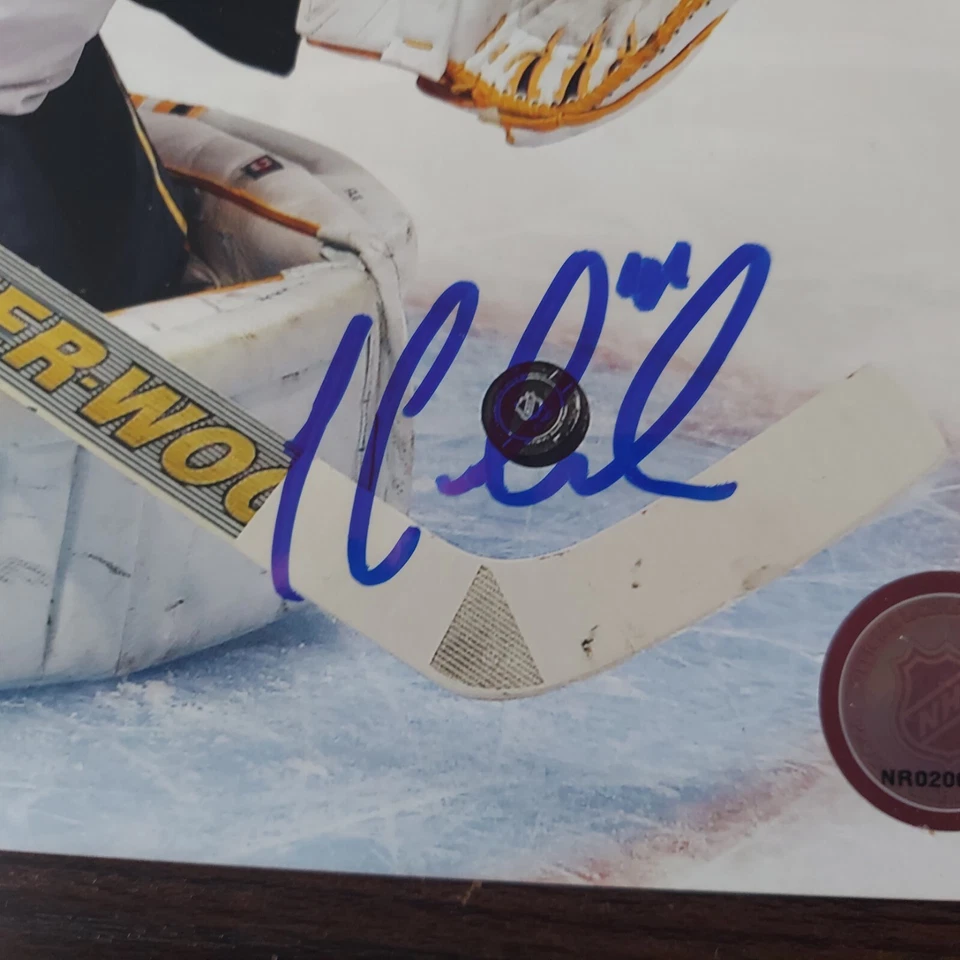 Foto 8x10 firmada a mano por Jaroslav Halak certificado de autenticidad St. Louis Blues Foto 2 de 2