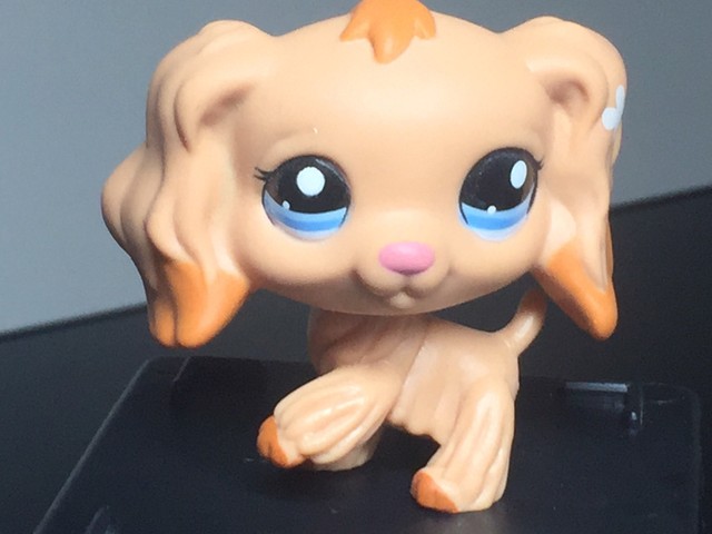 lps cocker spaniel 1716